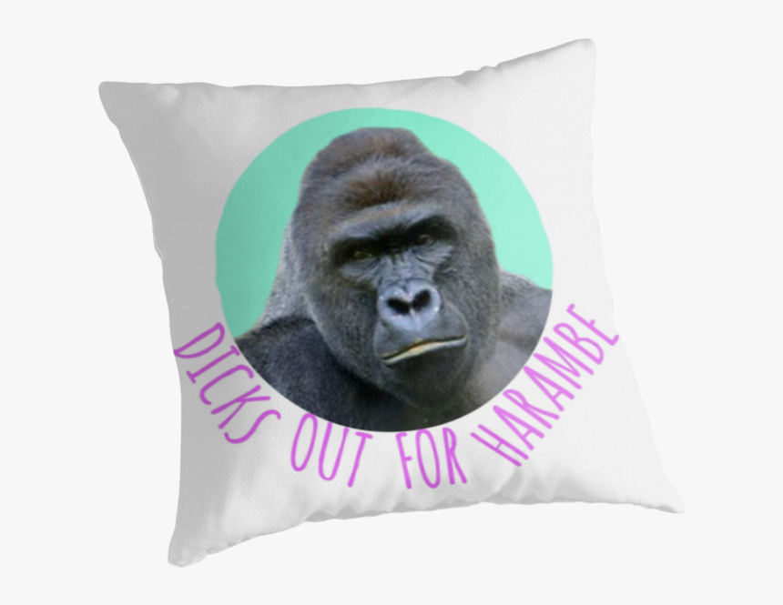 Cushion, HD Png Download, Free Download