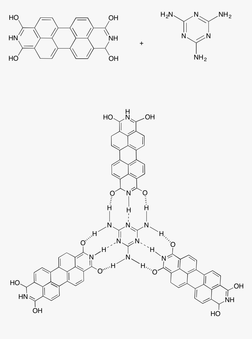 Self-assembly Of A Ptcdi Melamine Supramolecular Network - Steroid Structure And Triterpene, HD Png Download, Free Download