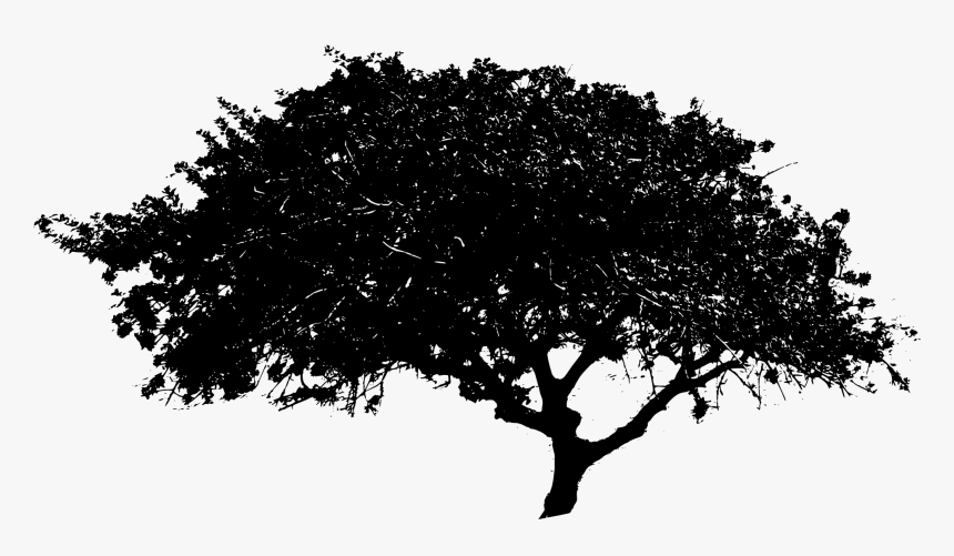 Download Black Tree Png File - Tree Png Black And White, Transparent Png, Free Download