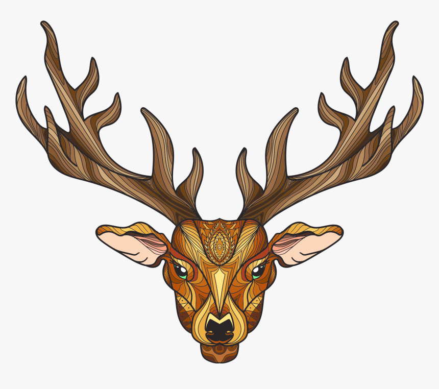 Deer Png Clip Art Png Image Free Download Searchpng - Tête De Cerf Coloré Dessin, Transparent Png, Free Download