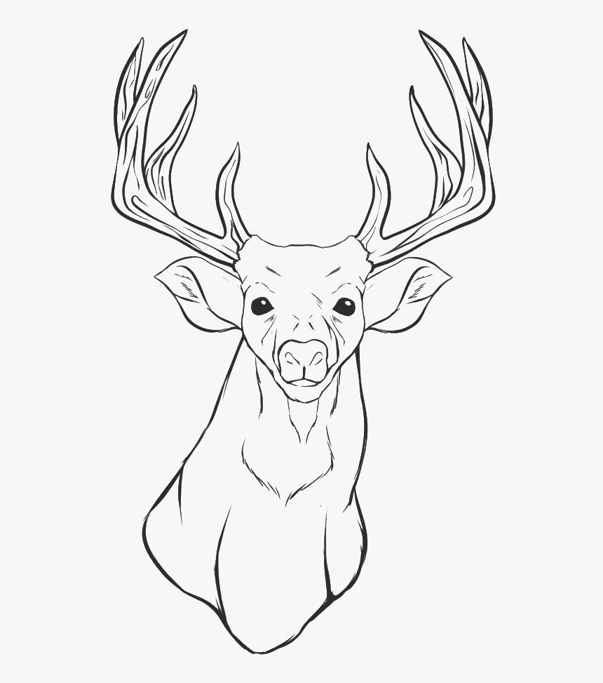 Deer Head Coloring Pages - Printable Deer Head Coloring Pages, HD Png