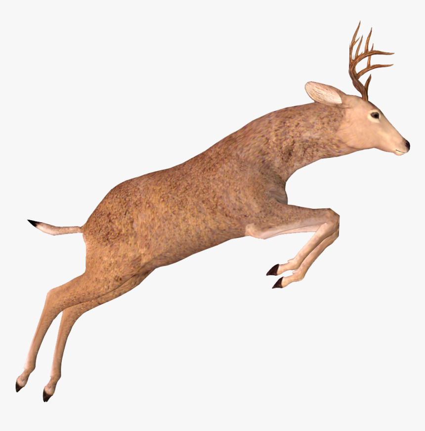 Elk, HD Png Download, Free Download