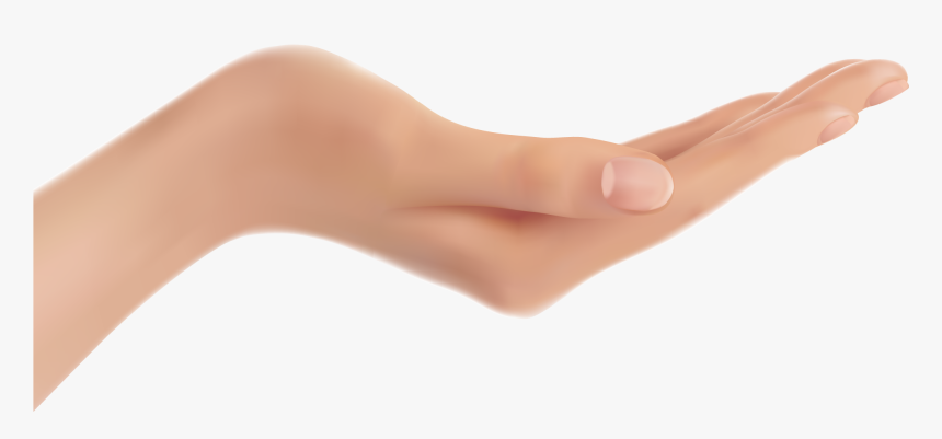 Hands - Hand Hd Png, Transparent Png, Free Download