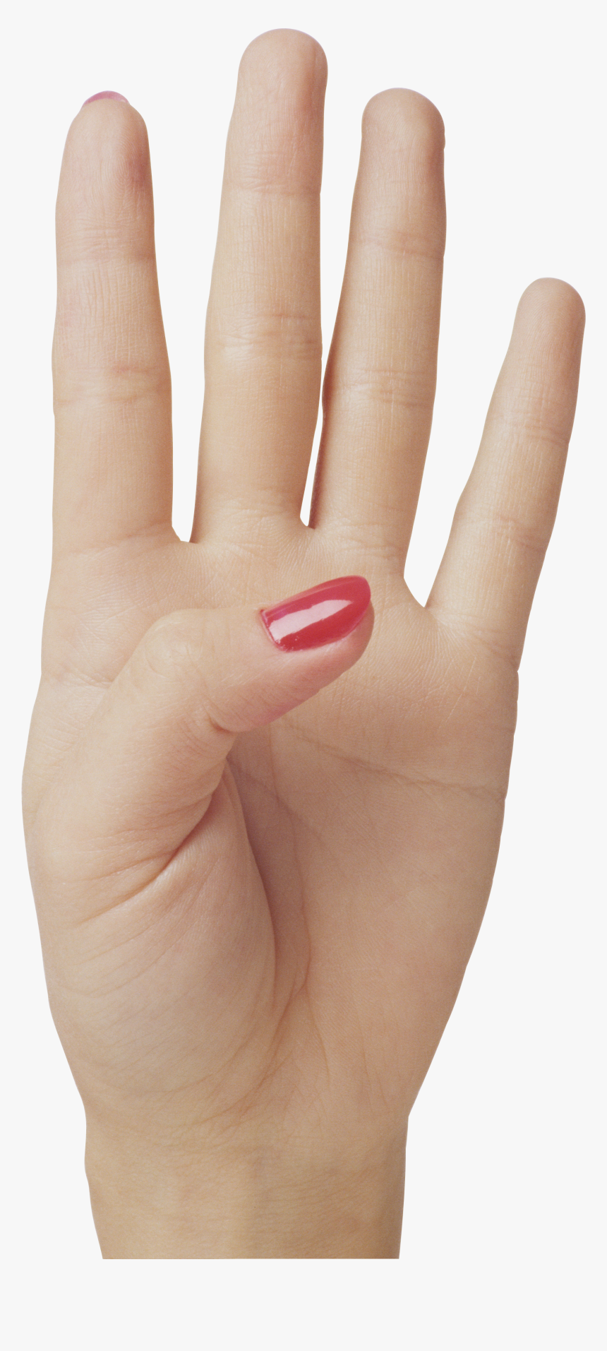 Hand Showing 4 Fingers, HD Png Download, Free Download