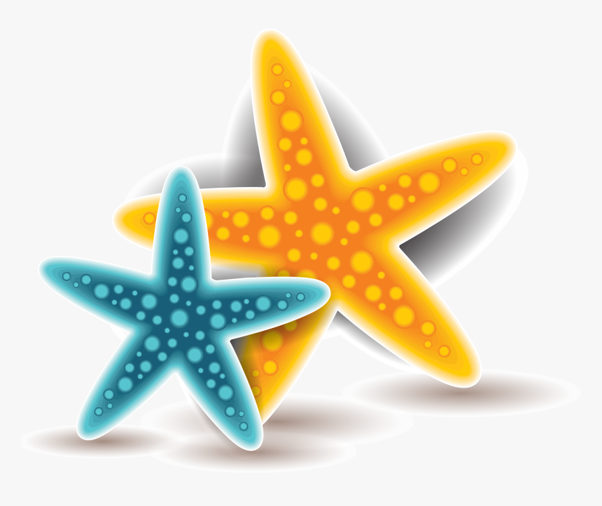 Starfish Euclidean Vector - Starfish, HD Png Download, Free Download