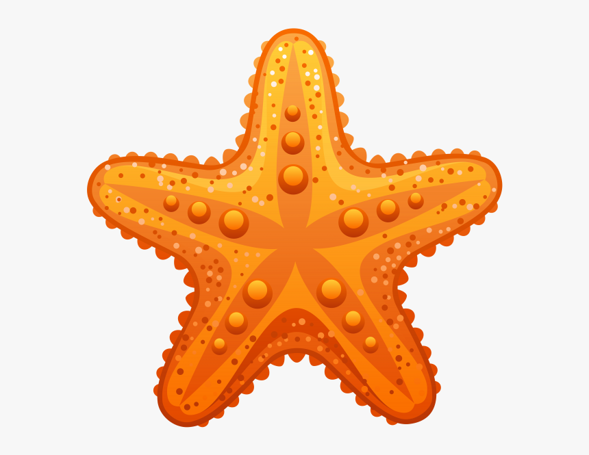 Sea Star Clipart Png, Transparent Png, Free Download