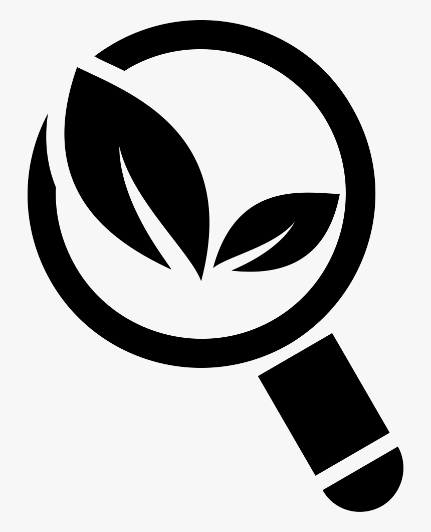 Organic Search Symbol Of Magnification Tool With Leaves - Organic Symbol Black And White, HD Png Download, Free Download