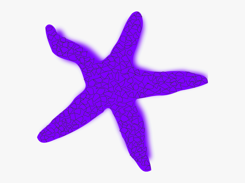 Starfish Free Content Clip Art - Starfish Clip Art, HD Png Download, Free Download