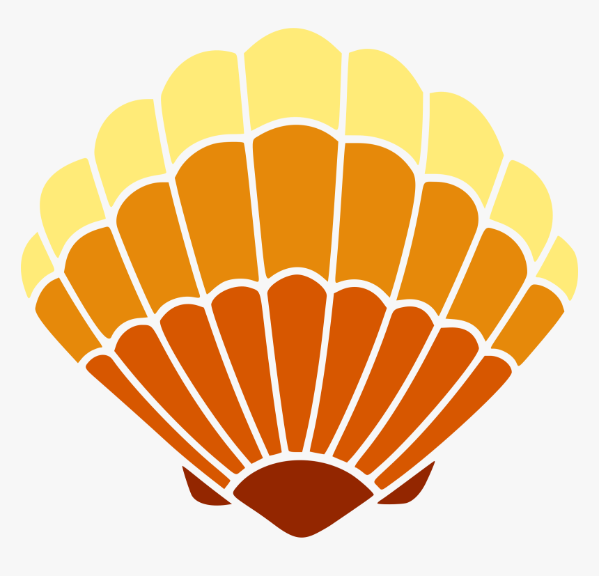 Seashell Mermaid Clip Art - Clip Art Sea Shell, HD Png Download, Free Download