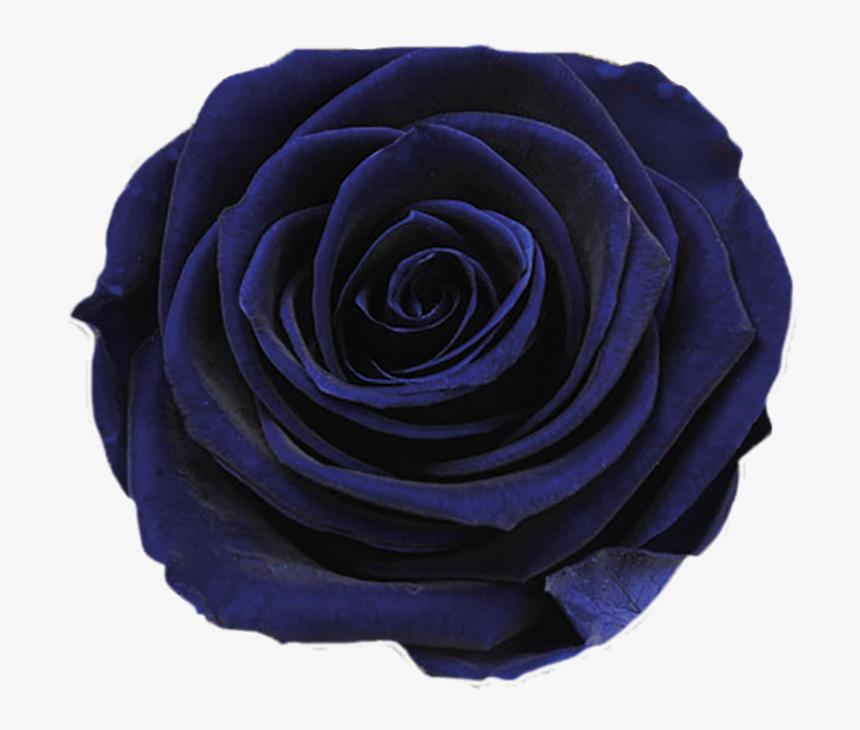 Transparent Dark Rose Png - Dark Blue Flower Png, Png Download, Free Download