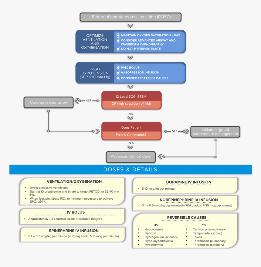 Post-cardiac Arrest Care Acls Algorithm - Basic Life Support Algorithm 2019, HD Png Download, Free Download