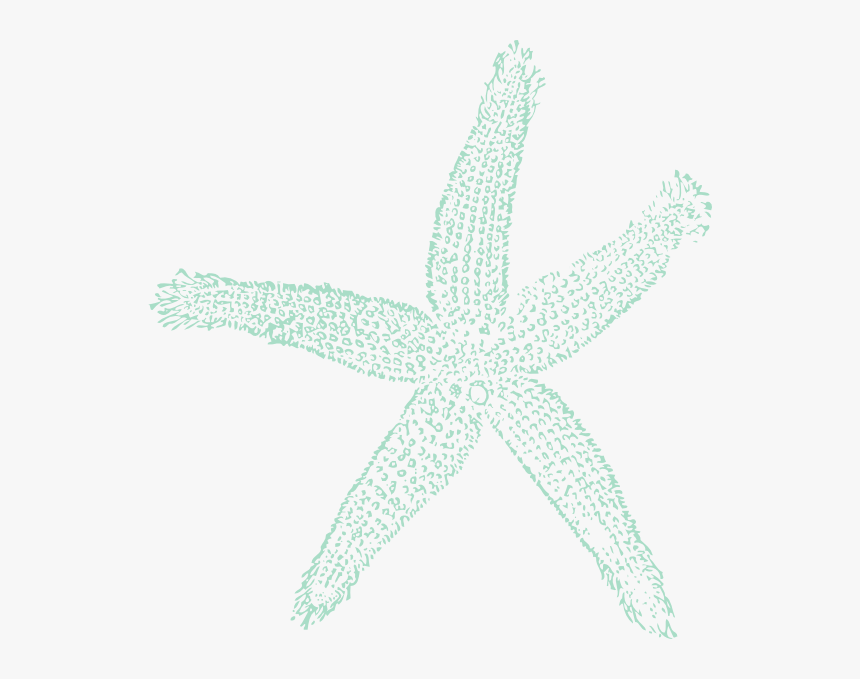 Sea Blue Starfish Svg Clip Arts - Teal Starfish Clipart, HD Png Download, Free Download