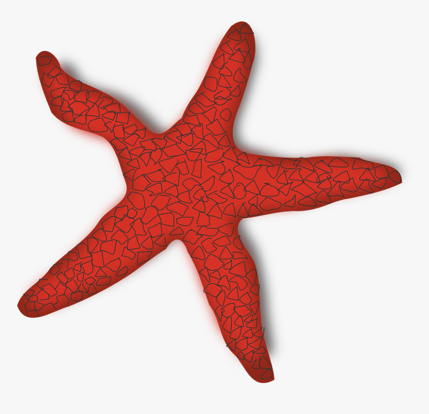 Starfish, Beach, Ocean, Marine Life, Seaside, Red, - Starfish Clip Art, HD Png Download, Free Download