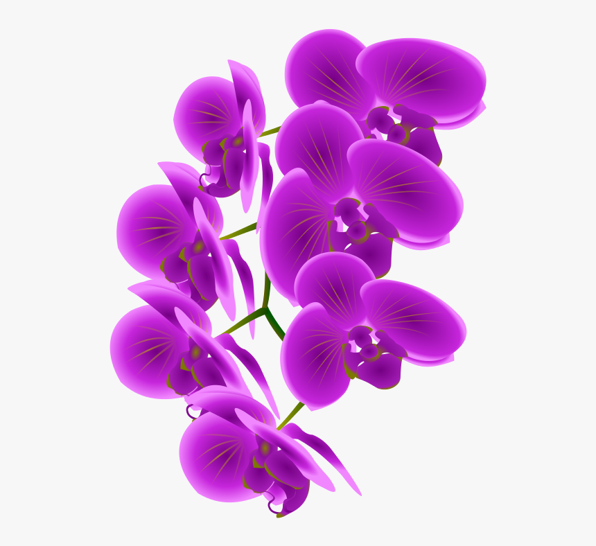 Free Purple Orchid Clipart - Purple Orchid Clip Art, HD Png Download, Free Download