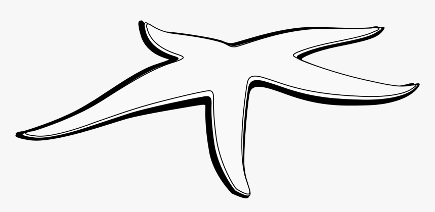 Clip Art Black And White Star Fish, HD Png Download, Free Download