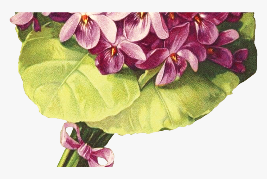 Victorian Floral Purple Nosegay Clipart - Moth Orchid, HD Png Download, Free Download