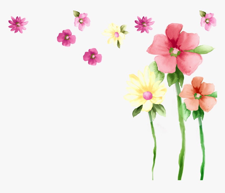 Primrose Moth Orchids Spring Petal Malvales, HD Png Download, Free Download