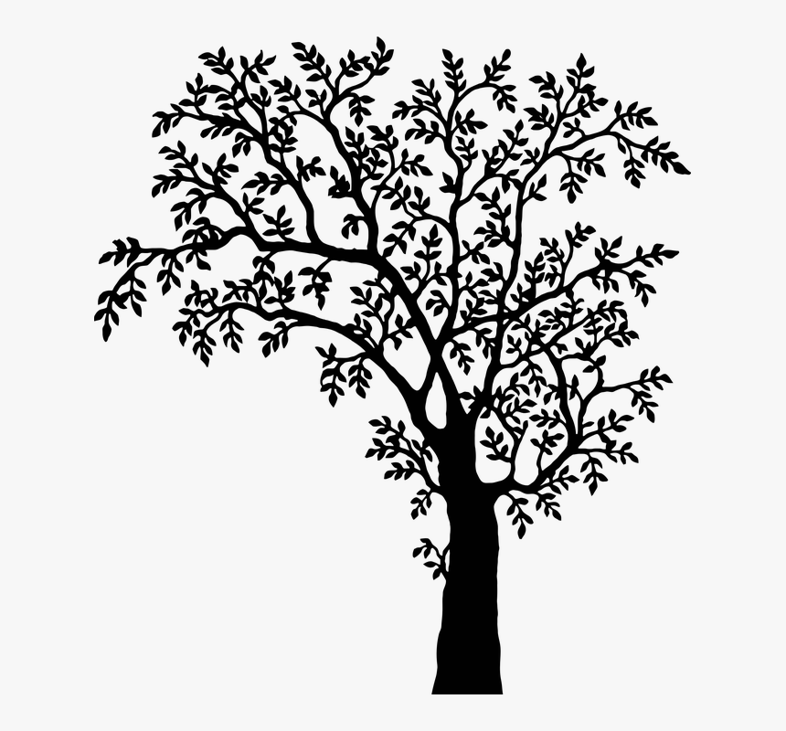 Tree, Plant, Vegetation, Nature, Vintage, Silhouette - Tree Silhouette Clip Art, HD Png Download, Free Download