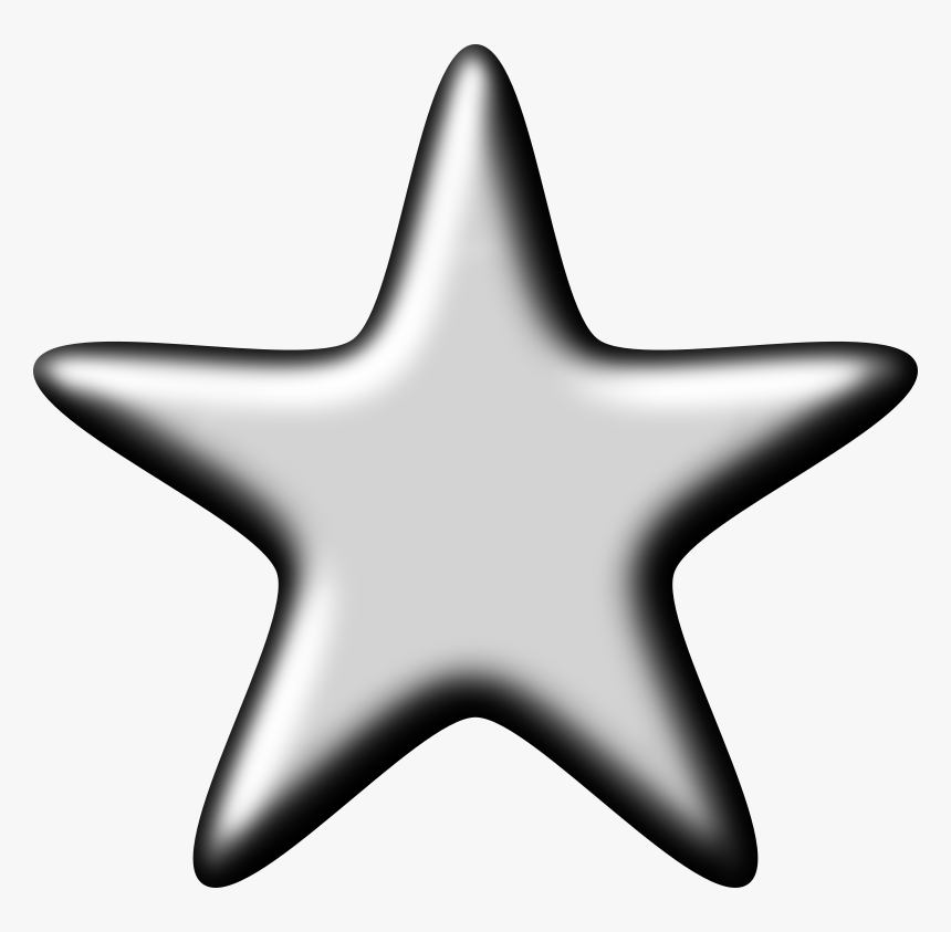 Echinoderm,star,starfish - Starfish, HD Png Download - kindpng