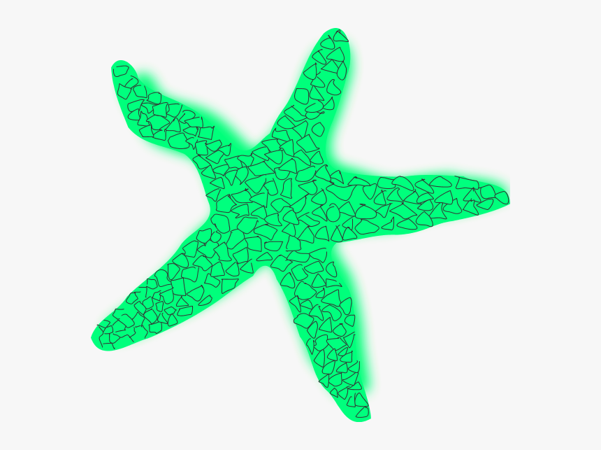 Starfish Clipart Star Fish - Starfish, HD Png Download, Free Download