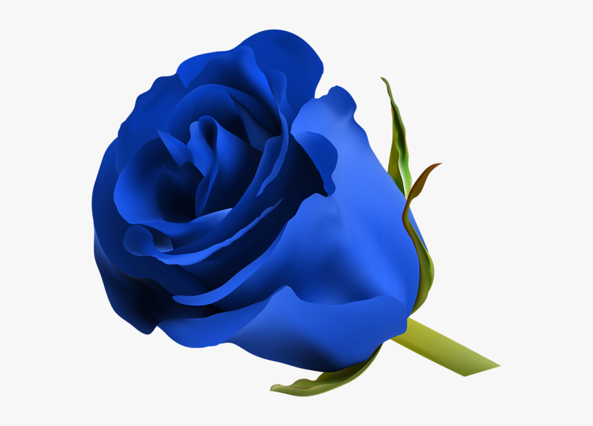 Blue Rose Png Clip Art Image Clipart Blue Roses - Royal Blue Flower Png, Transparent Png, Free Download