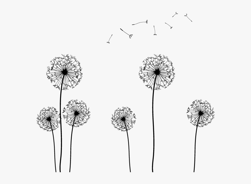 Seed Clip Art - Flower Silhouette Transparent Background, HD Png Download, Free Download