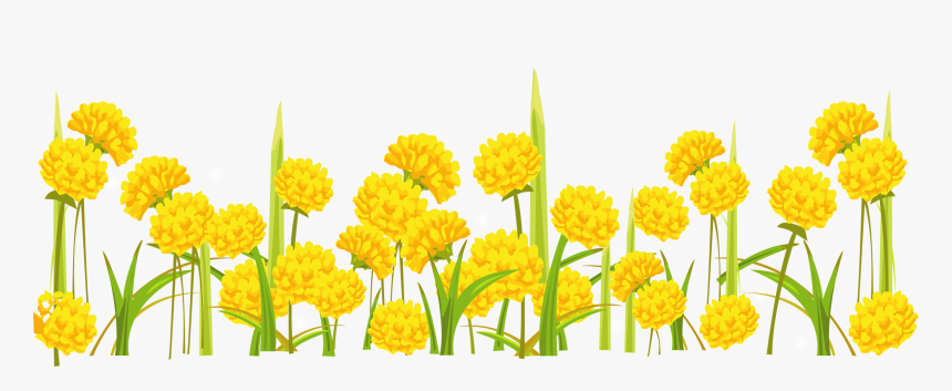 Dandelion Png - Transparent Background Yellow Flower Clipart, Png Download, Free Download