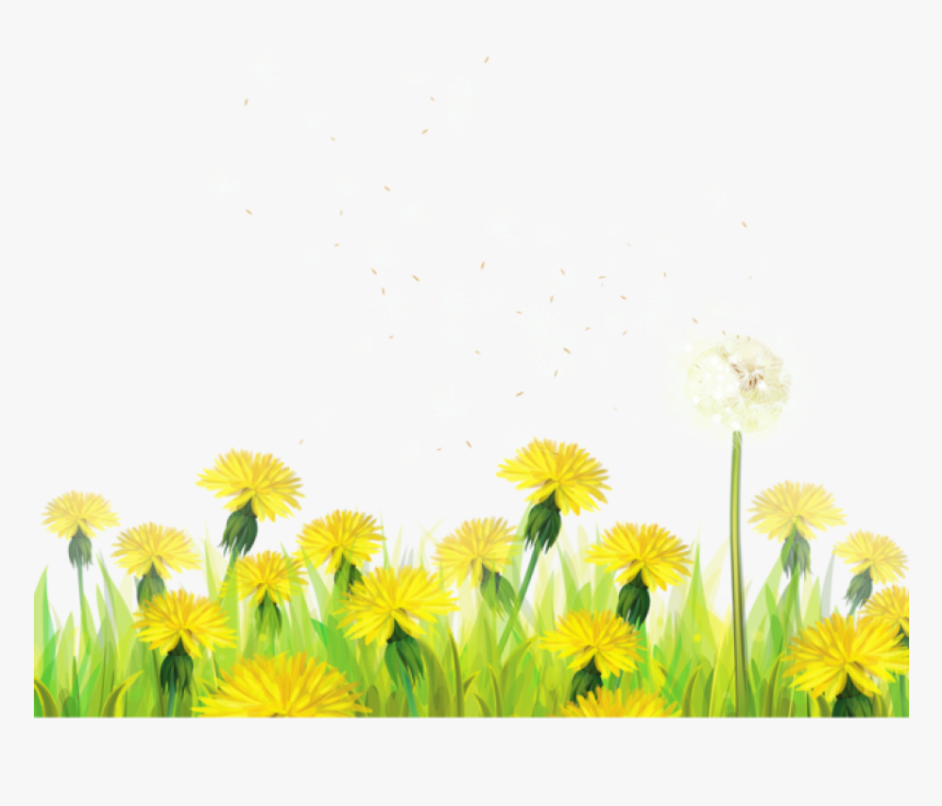 Free Png Transparent Grass With Dandelions Png Images - Dandelions Clip Art, Png Download, Free Download