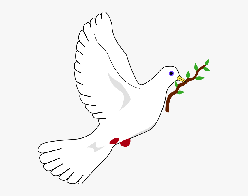 Oztorah » Blog Archive » The Dove Of Peace No"ach - Peace Dove, HD Png Download, Free Download