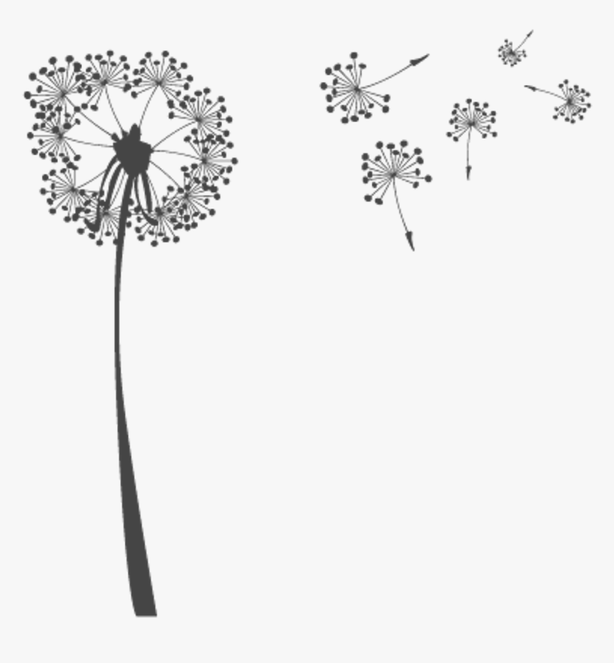Freetoedit Very Pretty Dandelion Dandelionseeds Png - Black And White Dandelion Clip Art, Transparent Png, Free Download