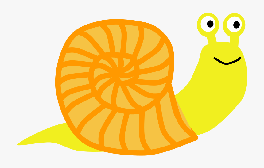 Snail Classroom Clipart - Clip Art Land Snail, HD Png Download, Free Download