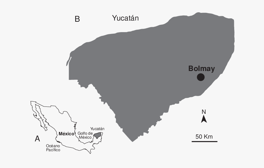 Ubicación De Yucatan, HD Png Download, Free Download