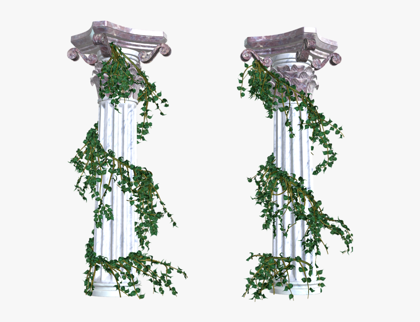 Vines Png Decorative Elements - Greek Columns With Vines, Transparent Png, Free Download
