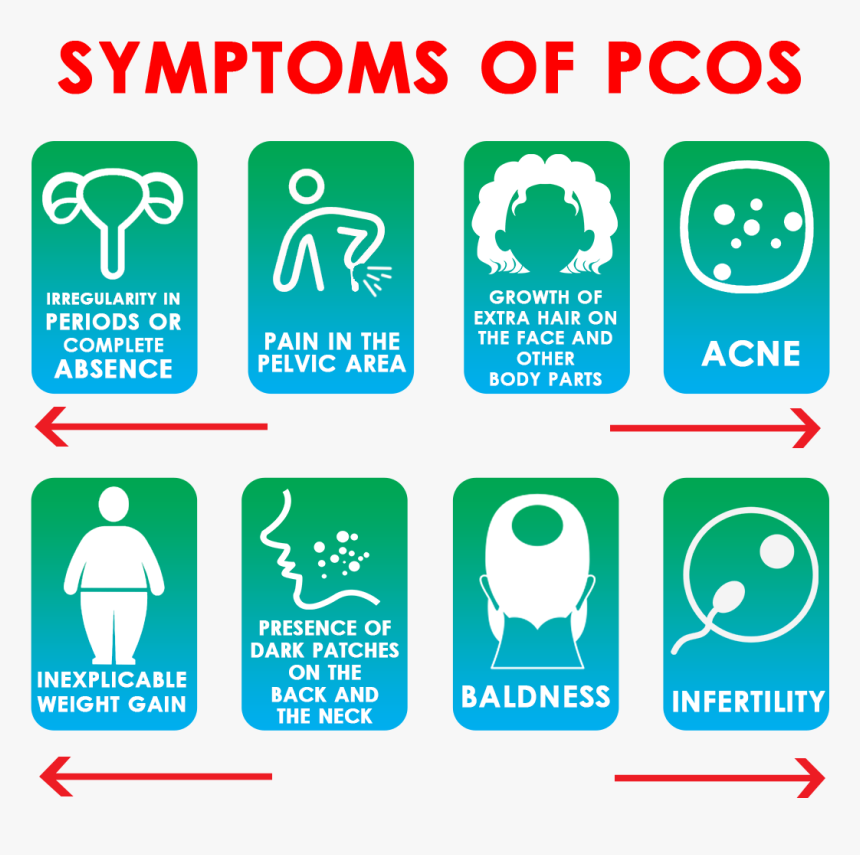 Pcos Treatment, HD Png Download, Free Download