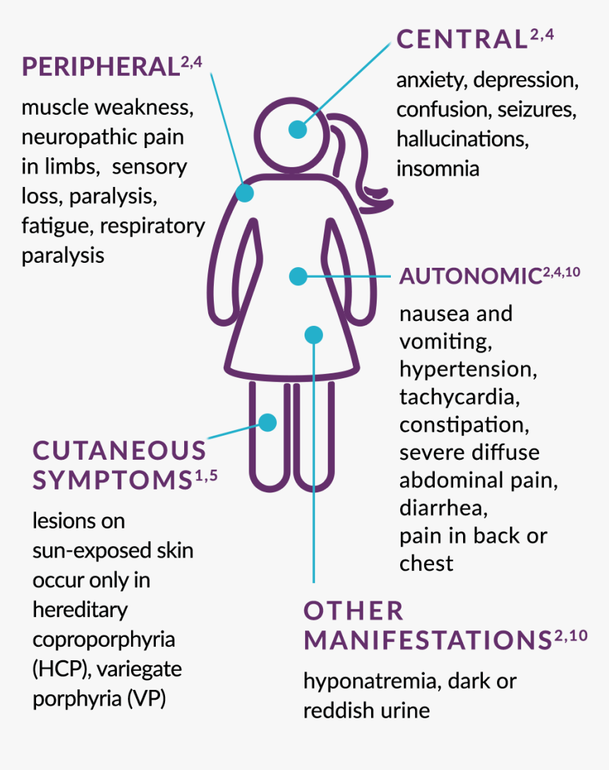 Acute Hepatic Porphyria Symptoms - Illustration, HD Png Download, Free Download