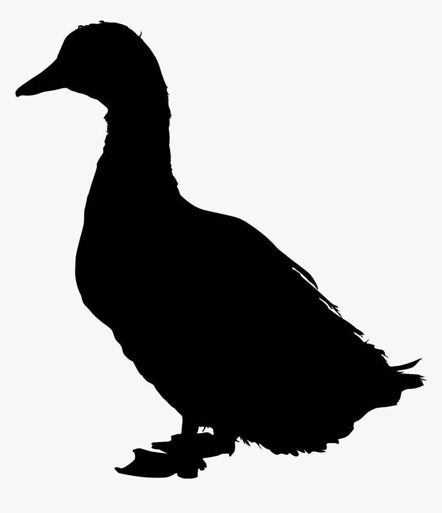 Duck - Duck Silhouette Png, Transparent Png, Free Download