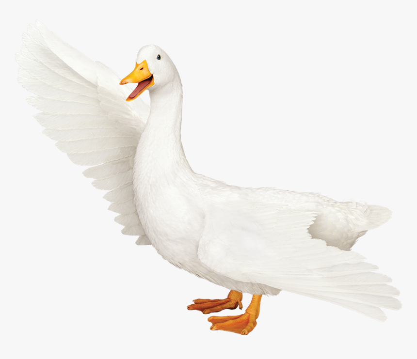 Aflac Duck Png - Aflac Duck Transparent, Png Download, Free Download