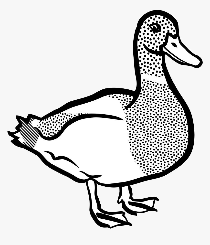 Lineart Clip Arts - Duck Clipart, HD Png Download, Free Download