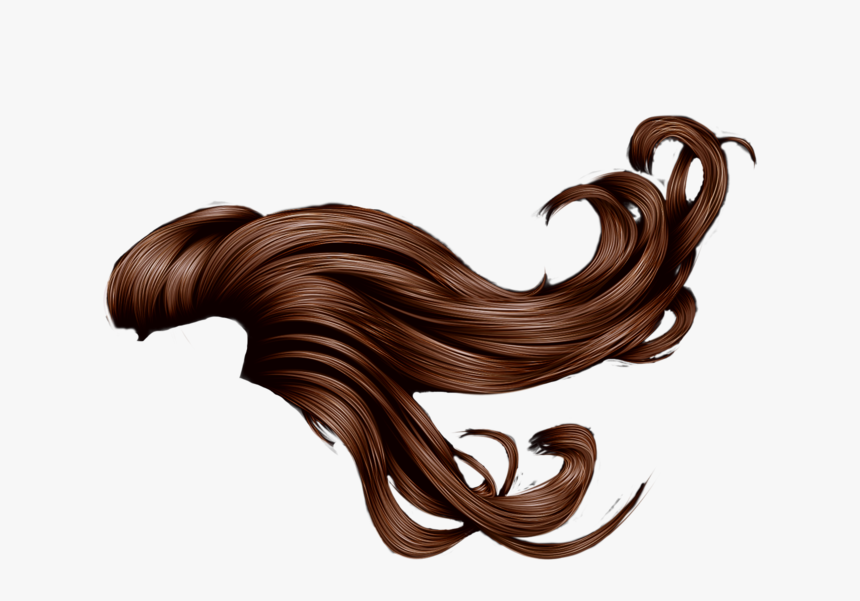 Mermaid Hair Png - Brown Hair In Wind, Transparent Png, Free Download