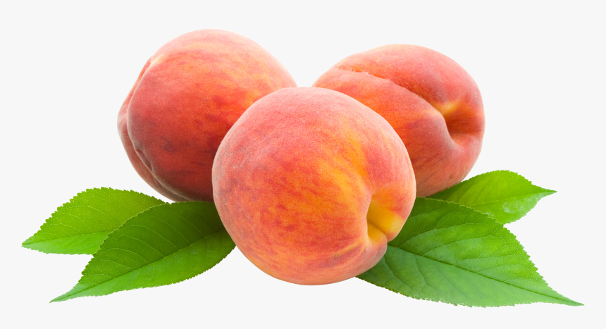 Peach Png, Transparent Png, Free Download