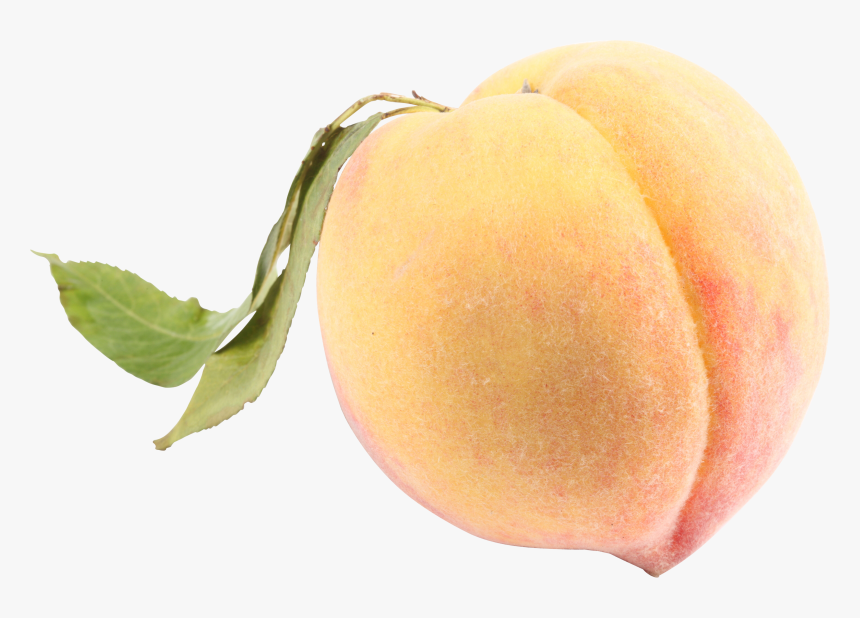 White Peach Png, Transparent Png, Free Download