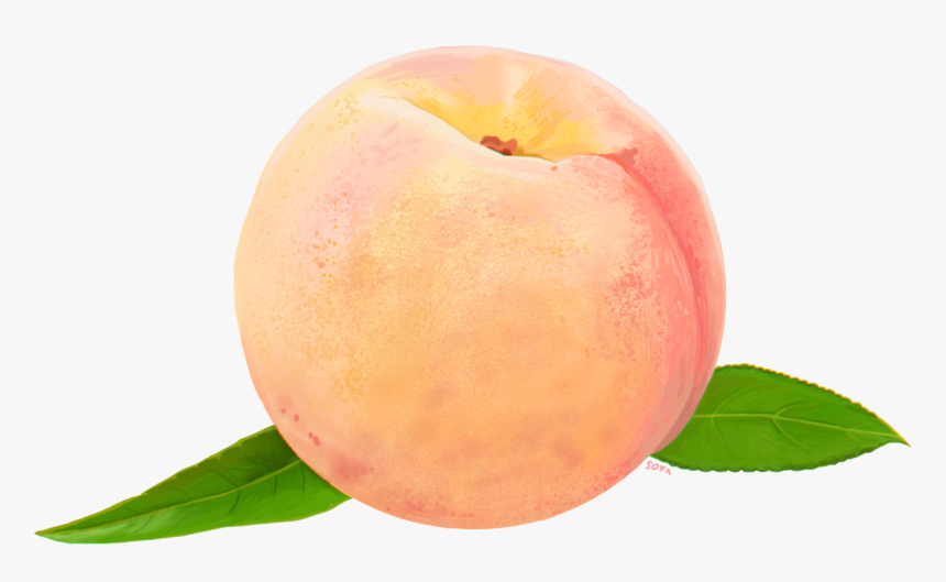 Peach Food Clip Art - Watercolor Peach Transparent Background, HD Png Download, Free Download