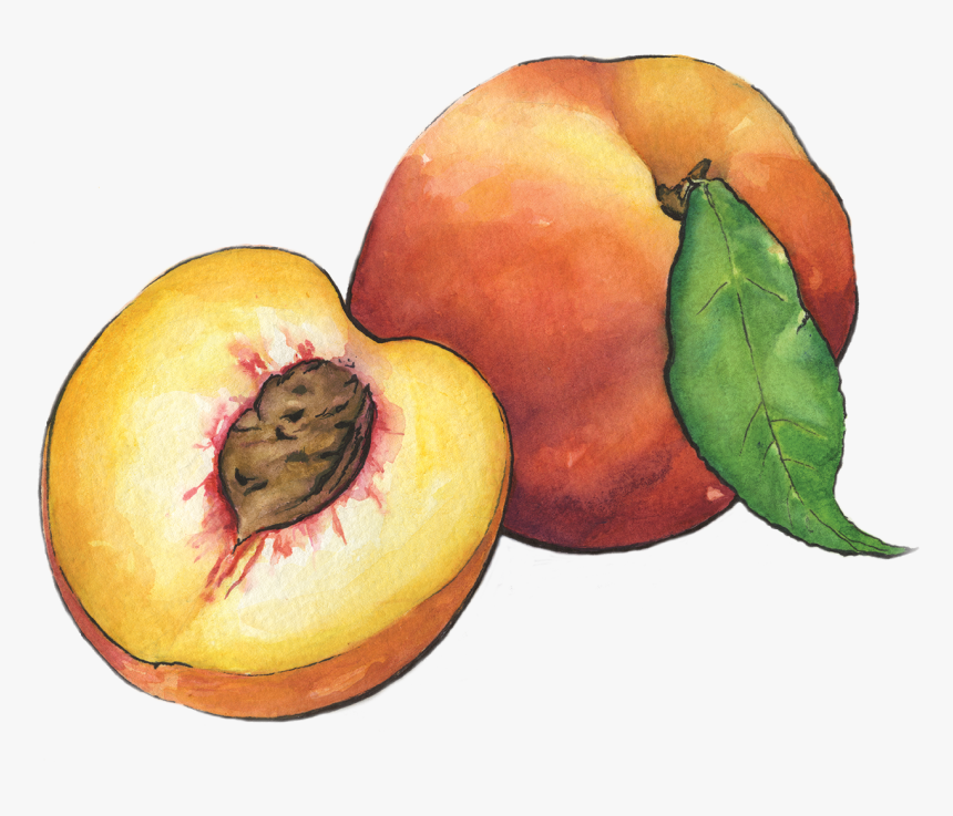 Peaches, HD Png Download, Free Download