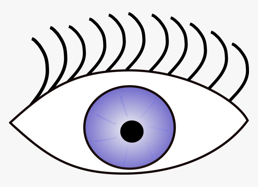 Googly Eyes Human Eye Eye Color Visual Perception - Sight Clipart, HD Png Download, Free Download