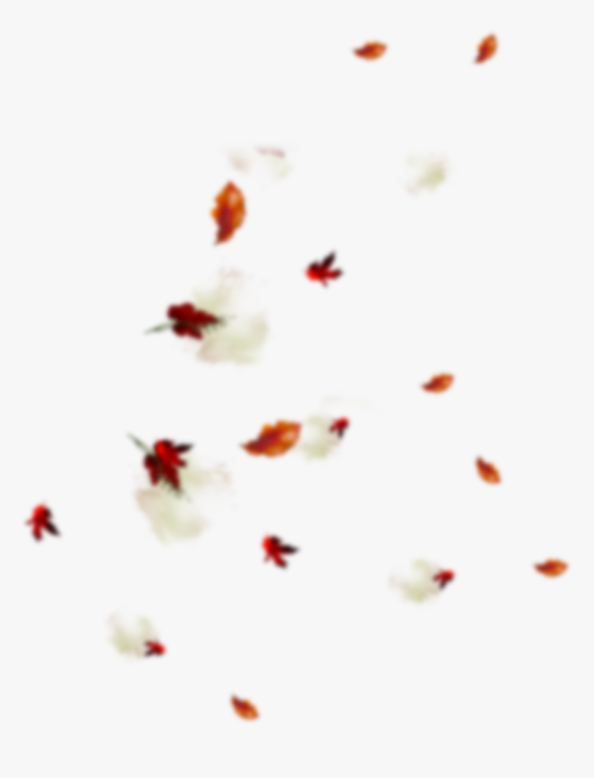 Leaf Blur - Insect - Insect, HD Png Download, Free Download