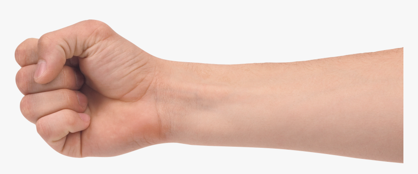 Human Arm Png - Hand Fist Transparent, Png Download, Free Download