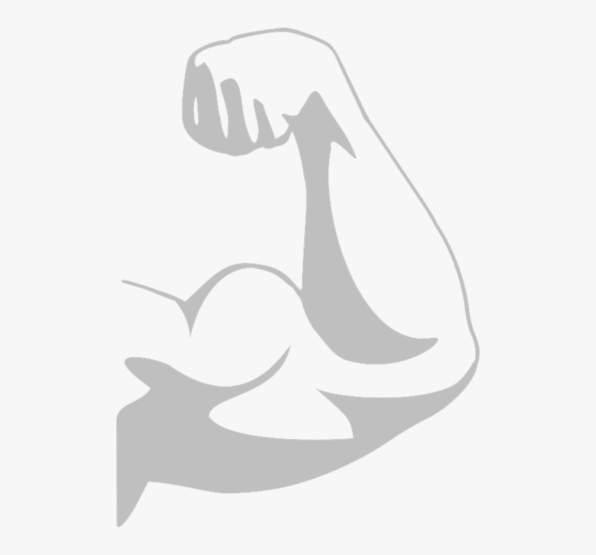 Muscular Arm Png - Strong Arm Png White, Transparent Png, Free Download