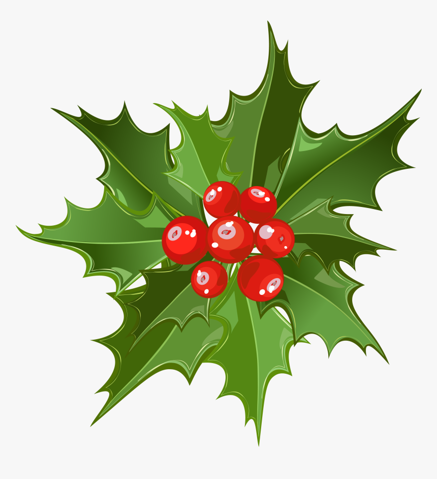 Holley Clipart Mistletoe - Christmas Mistletoe Png, Transparent Png, Free Download