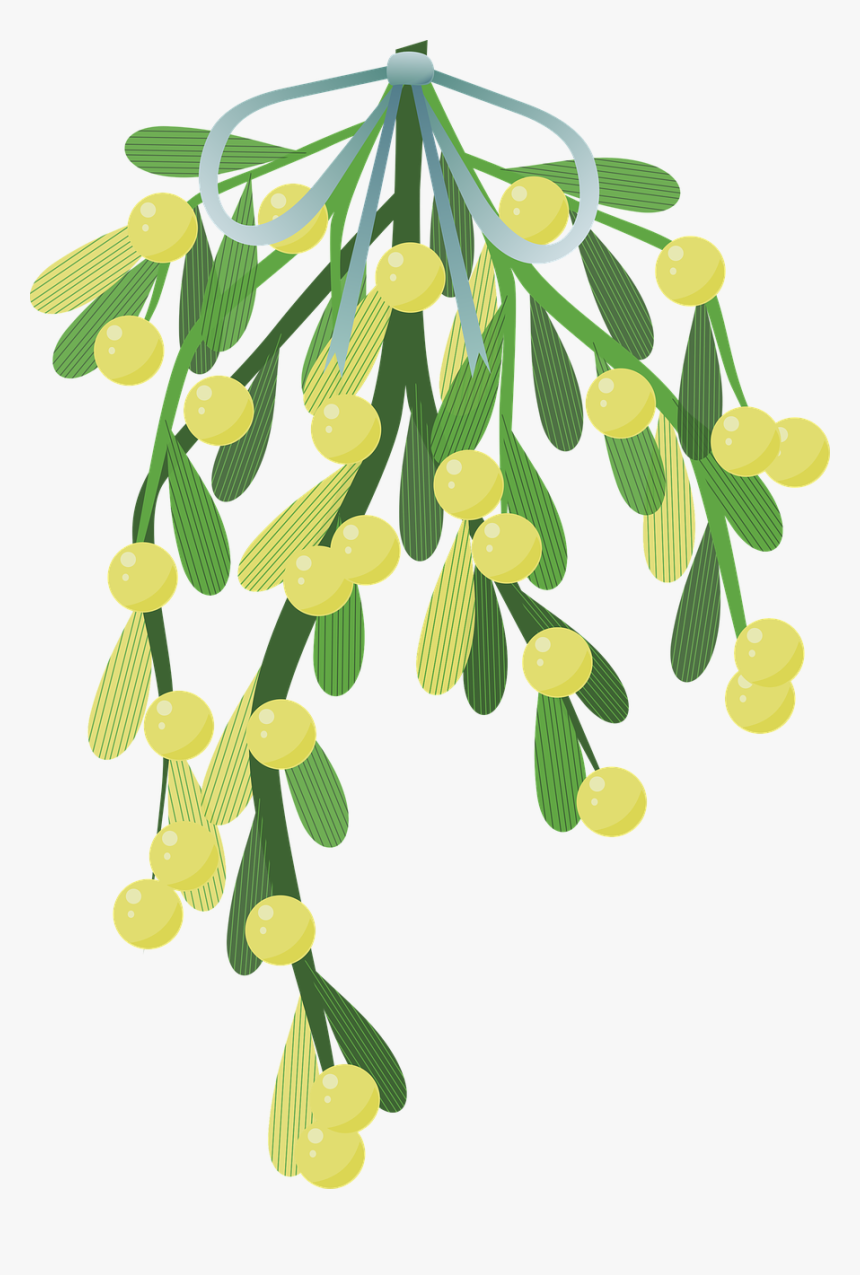 Harry Potter Mistletoe, HD Png Download, Free Download