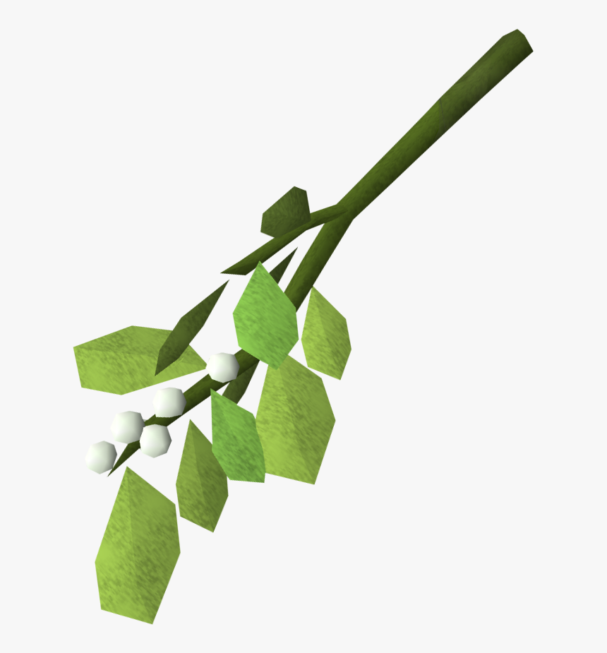 The Runescape Wiki - Maidenhair Tree, HD Png Download, Free Download